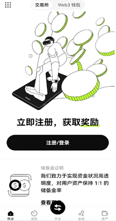 审计报告详情